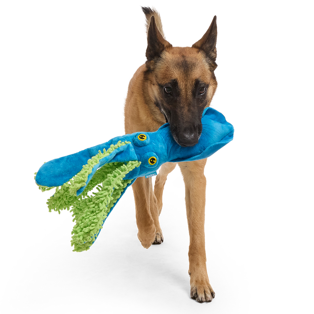 Shifty Sid the Squid Plush Extra-Large + Tug Dog Toy – BARK