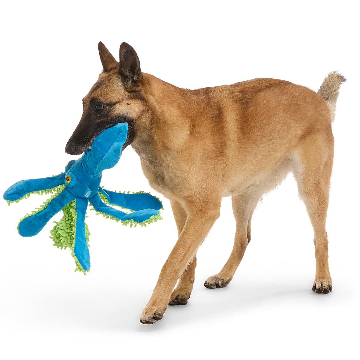 Shifty Sid the Squid Plush Extra-Large + Tug Dog Toy