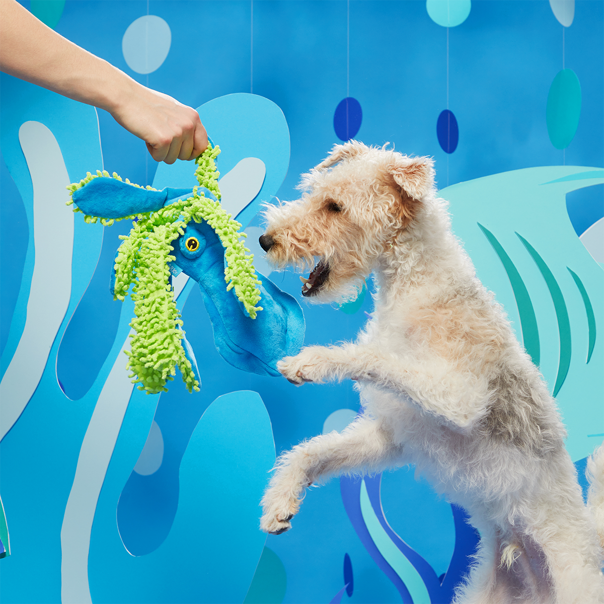 Shifty Sid the Squid Plush Extra-Large + Tug Dog Toy