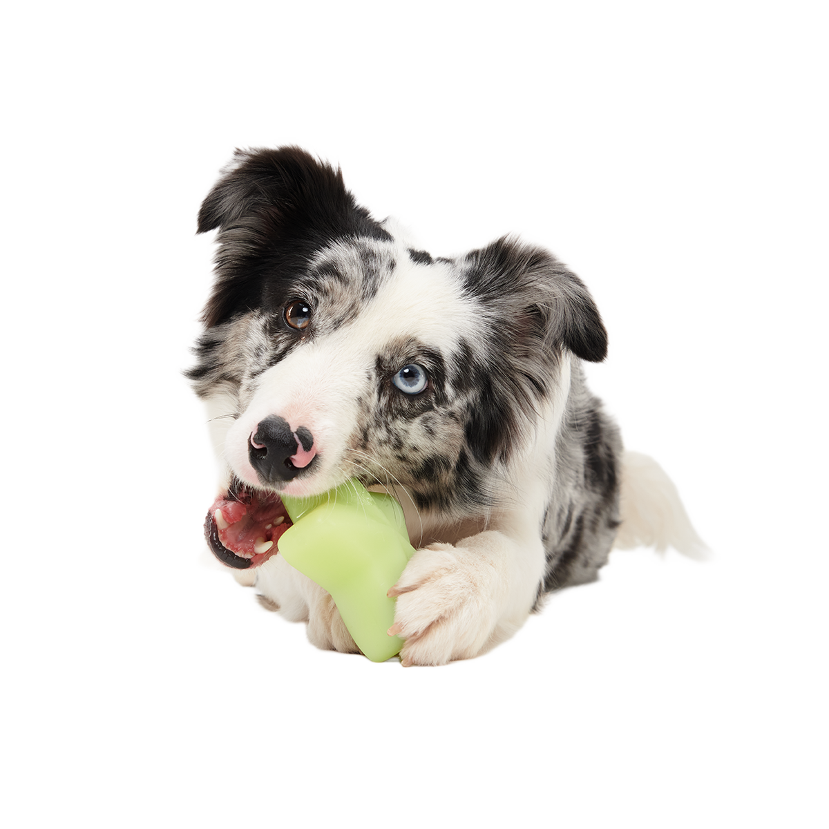 Shooting Starf Super Chewer Durable Gnaw Dog Toy