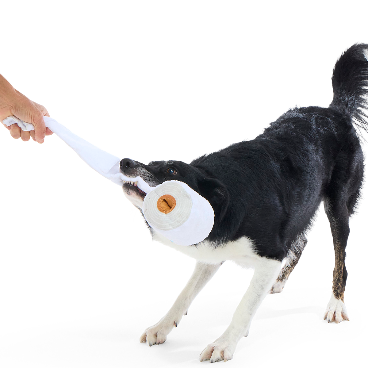 Shred Head Fred Plush Enrichment + Tug Dog Toy