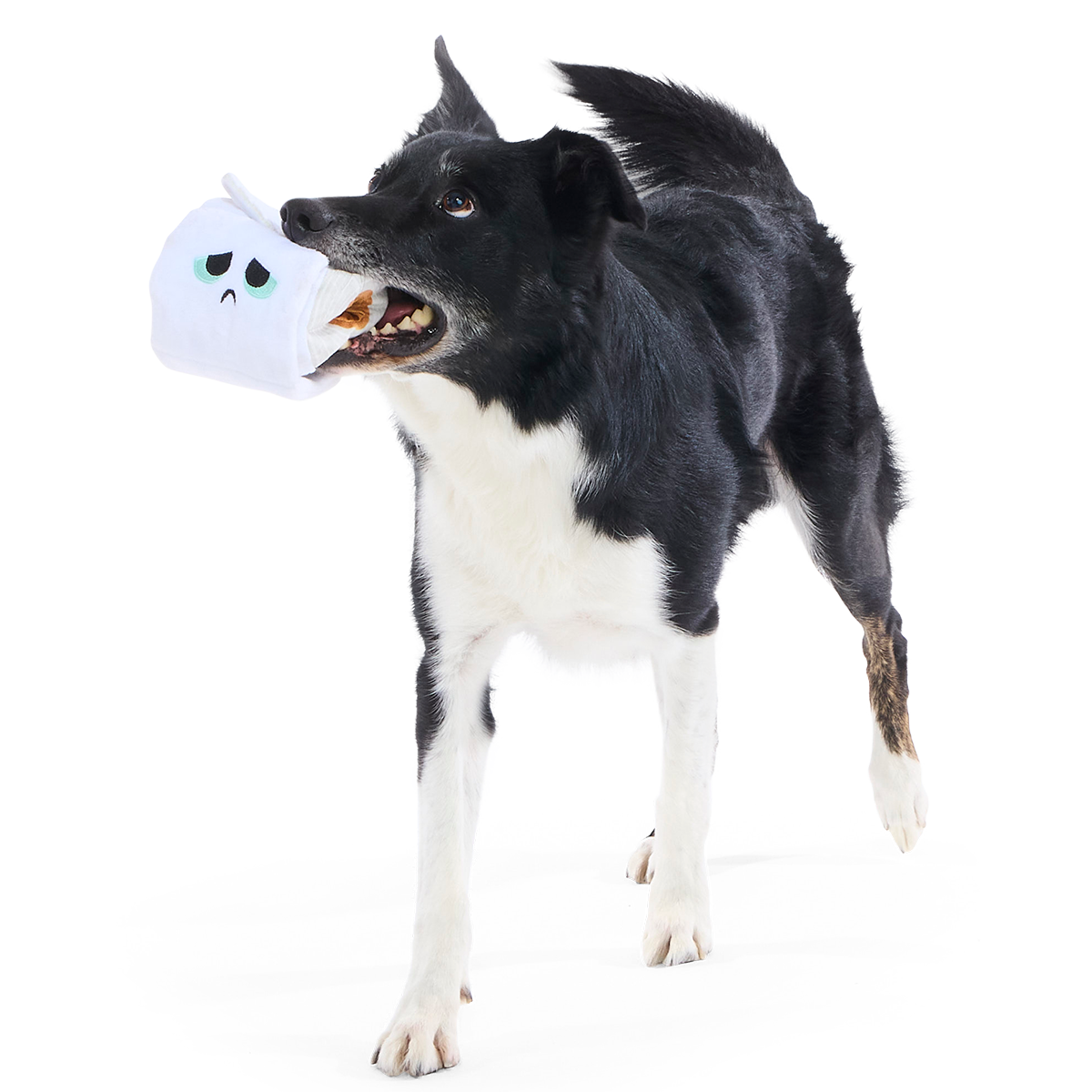 Shred Head Fred Plush Enrichment + Tug Dog Toy