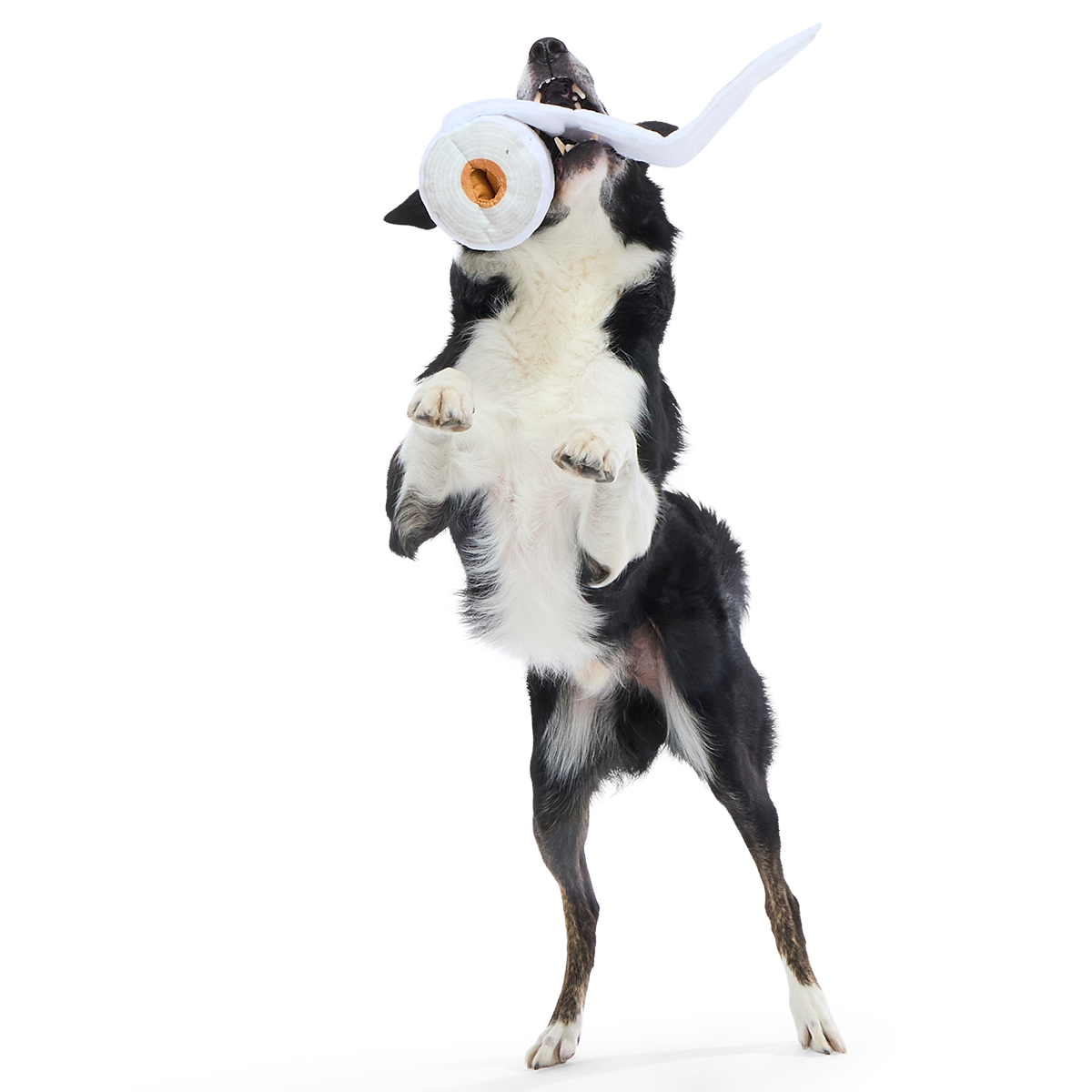 Shred Head Fred Plush Enrichment + Tug Dog Toy