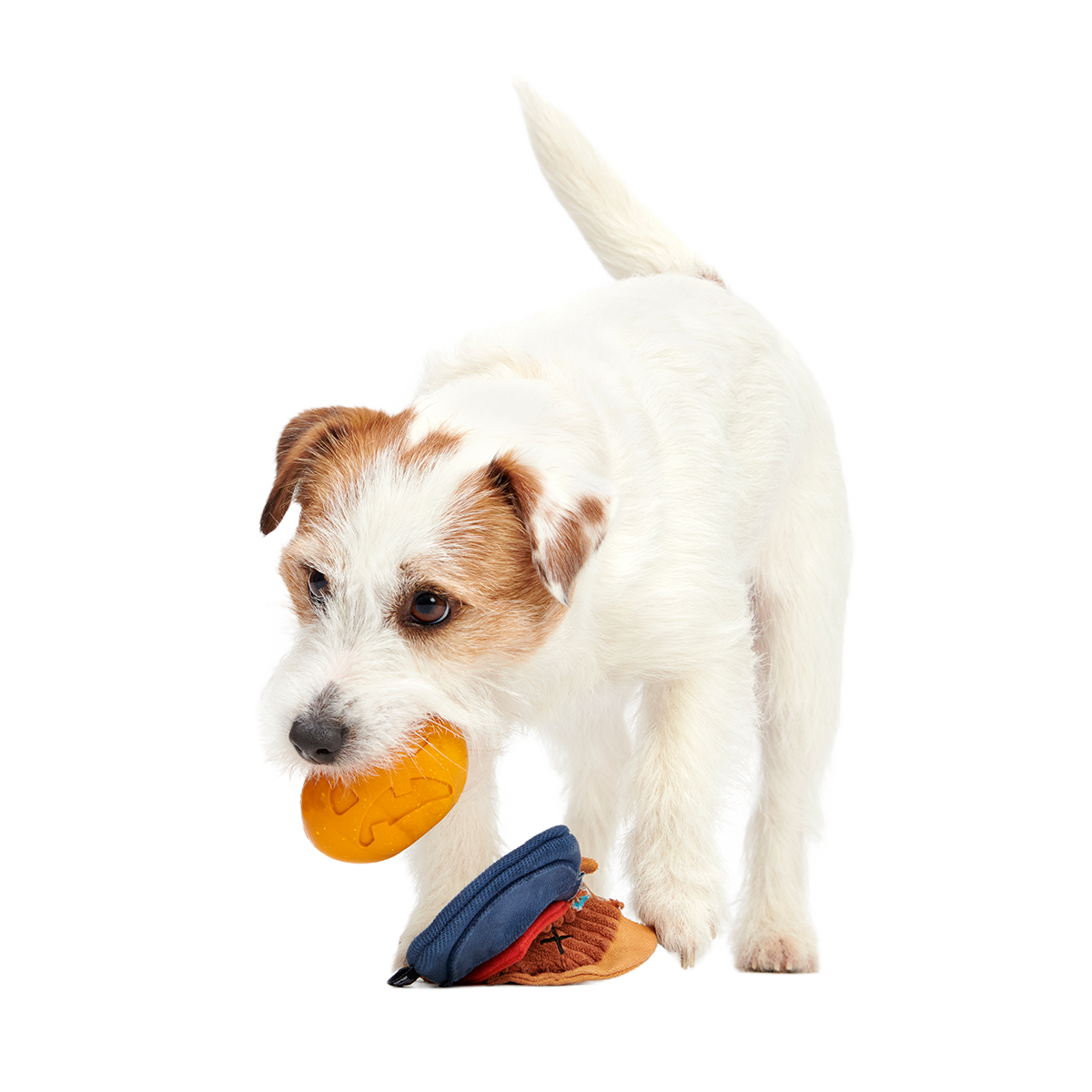 Shreddy Eddy the Scarecrow Super Chewer Durable 2-in-1 + Tug Dog Toy