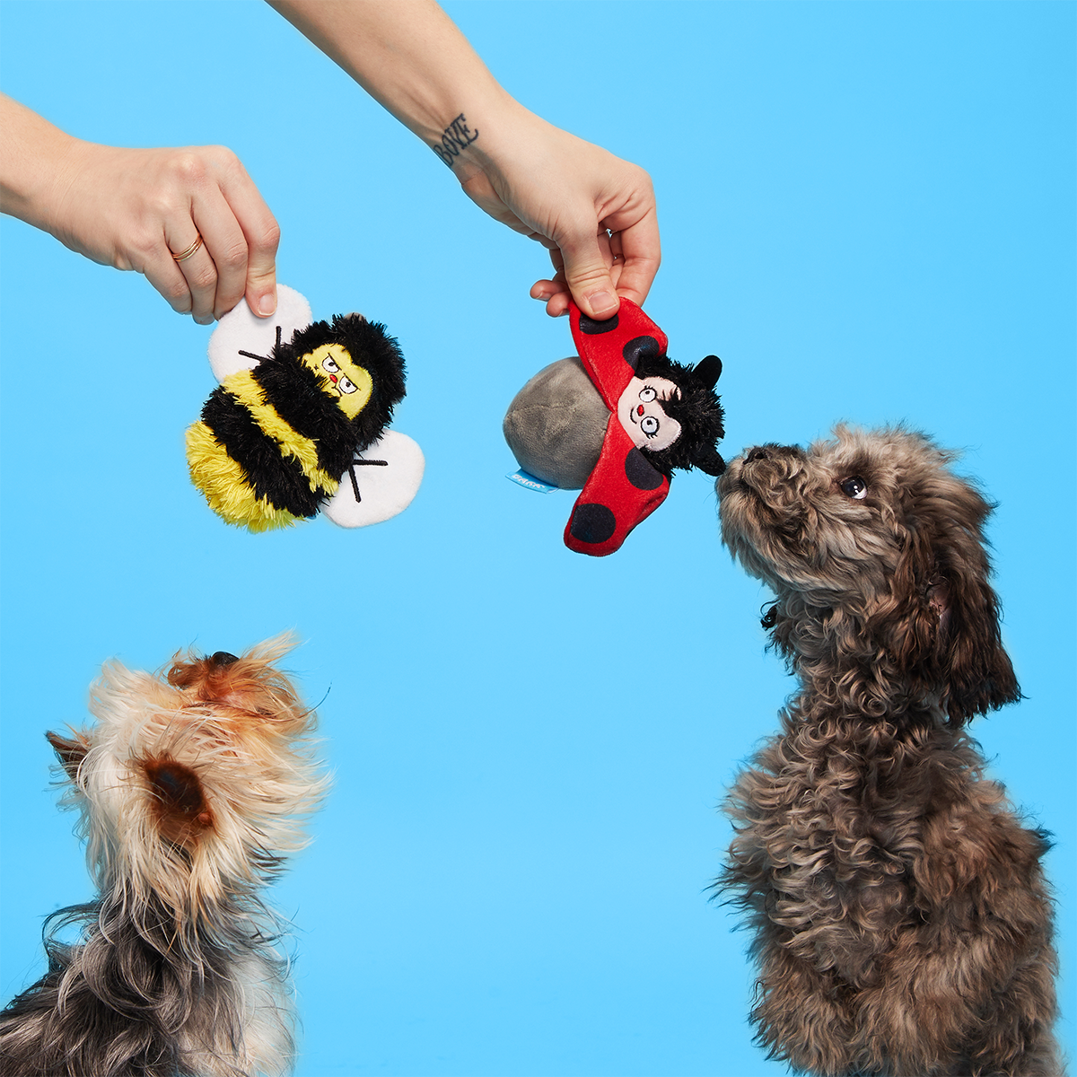 Simone & Jean-Paul The Love Bugs Plush Multi-Part + Fetch Dog Toy