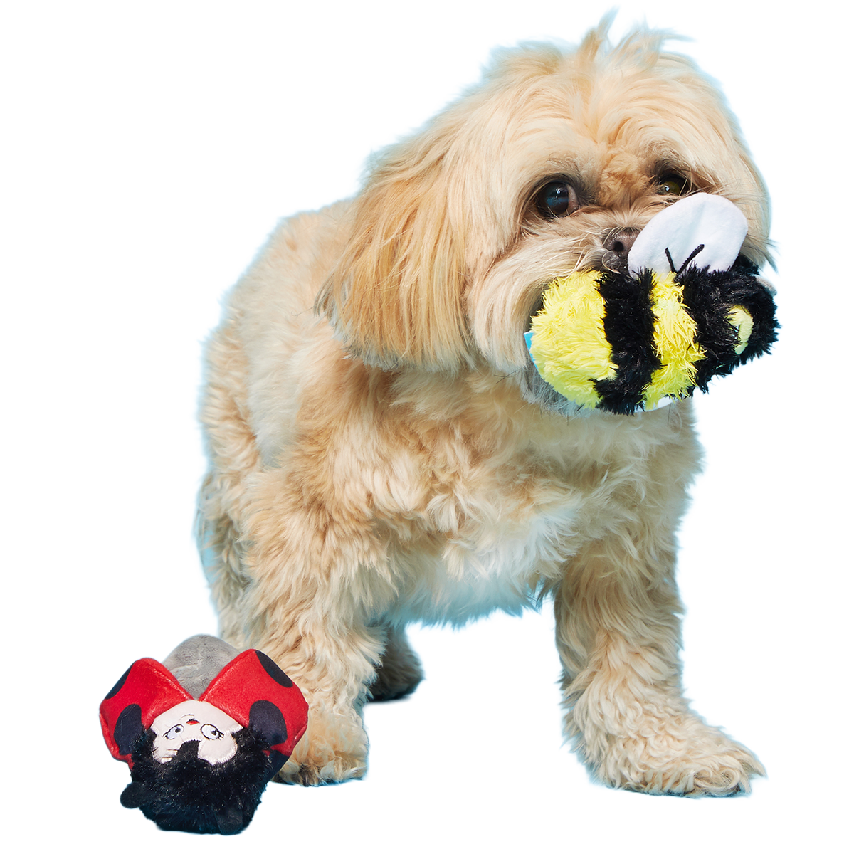 Simone & Jean-Paul The Love Bugs Plush Multi-Part + Fetch Dog Toy
