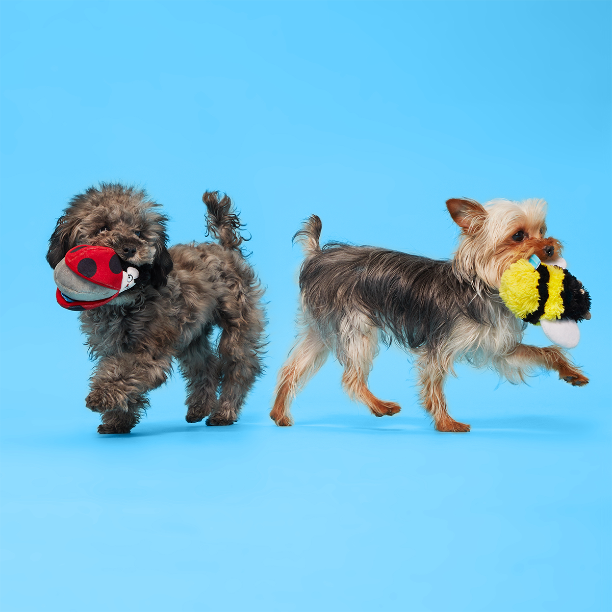 Simone & Jean-Paul The Love Bugs Plush Multi-Part + Fetch Dog Toy