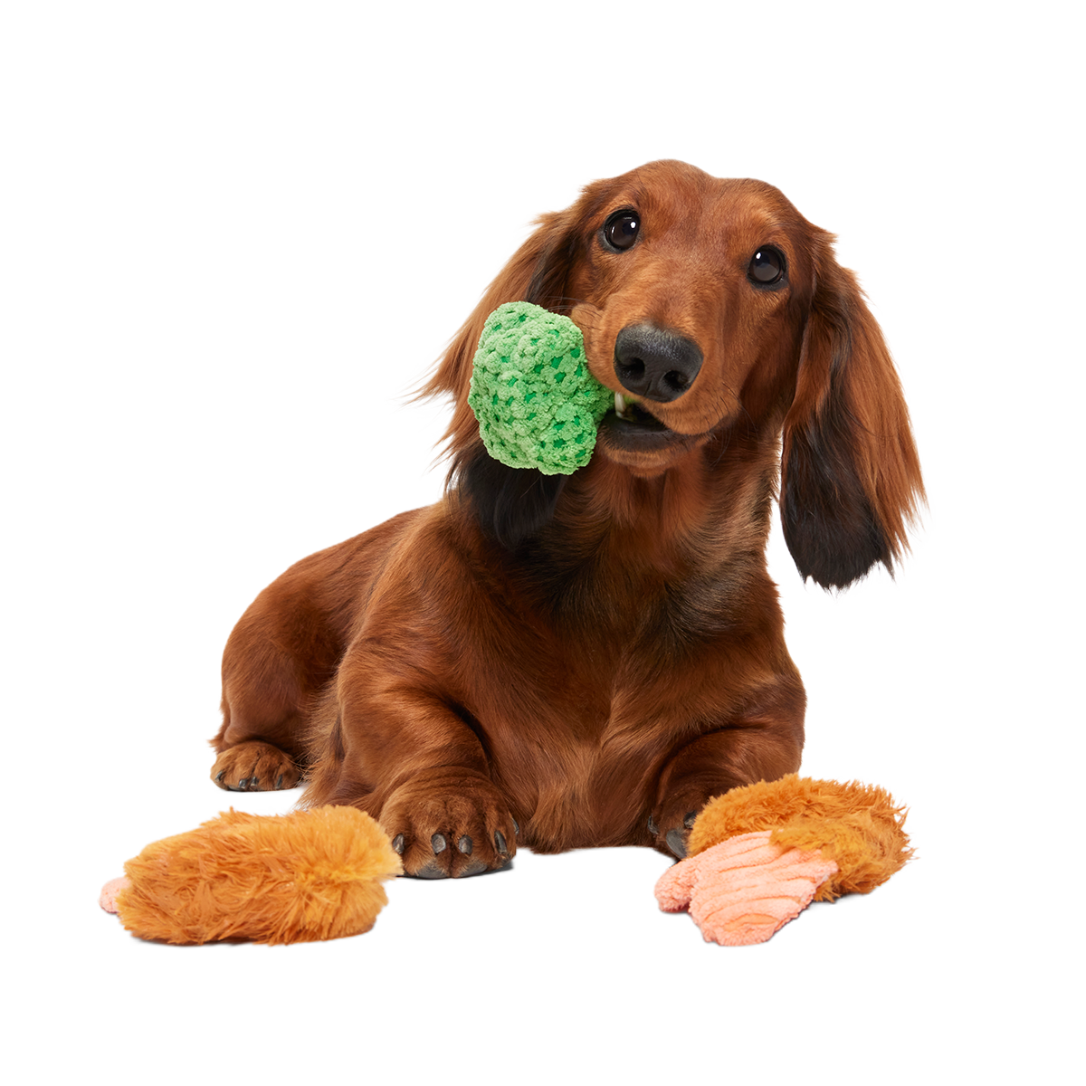 Sizzlin' Sea & Tree Sampletizer Plush Multi-Part + Enrichment Dog Toy