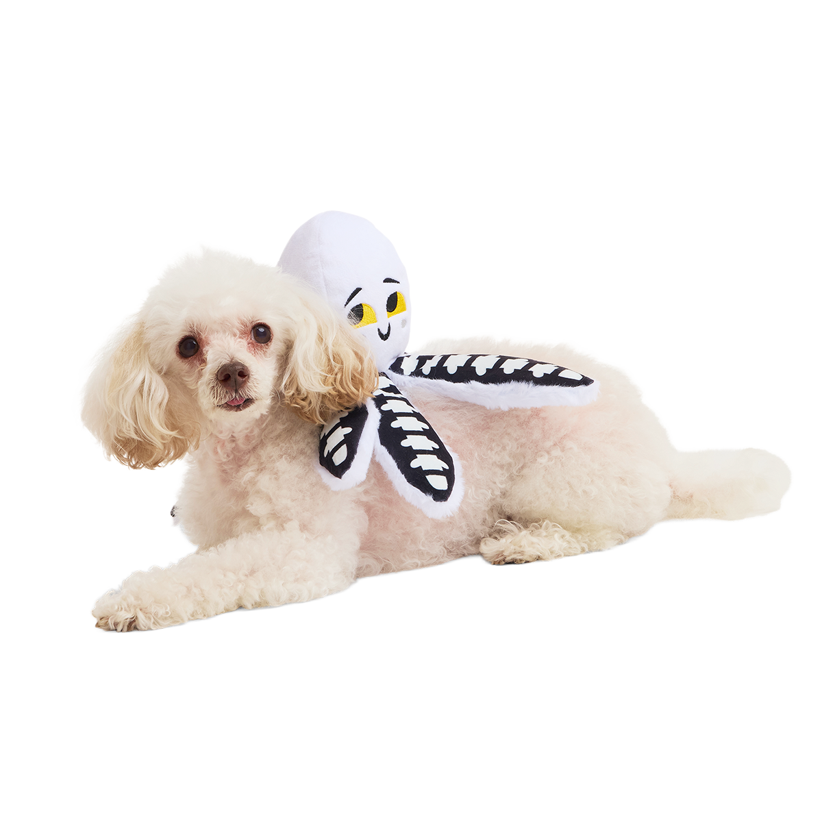 Sk-Ollie-Ton Plush Tug Dog Toy