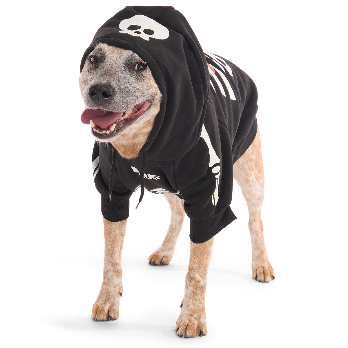 Skeleton Dog Hoodie