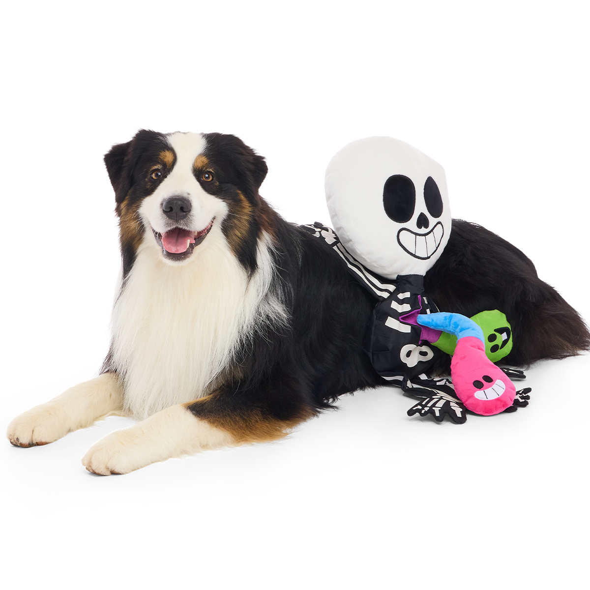 Skeleton Gnawtopsy Plush XXL Multi-Part + Tug + Enrichment Dog Toy