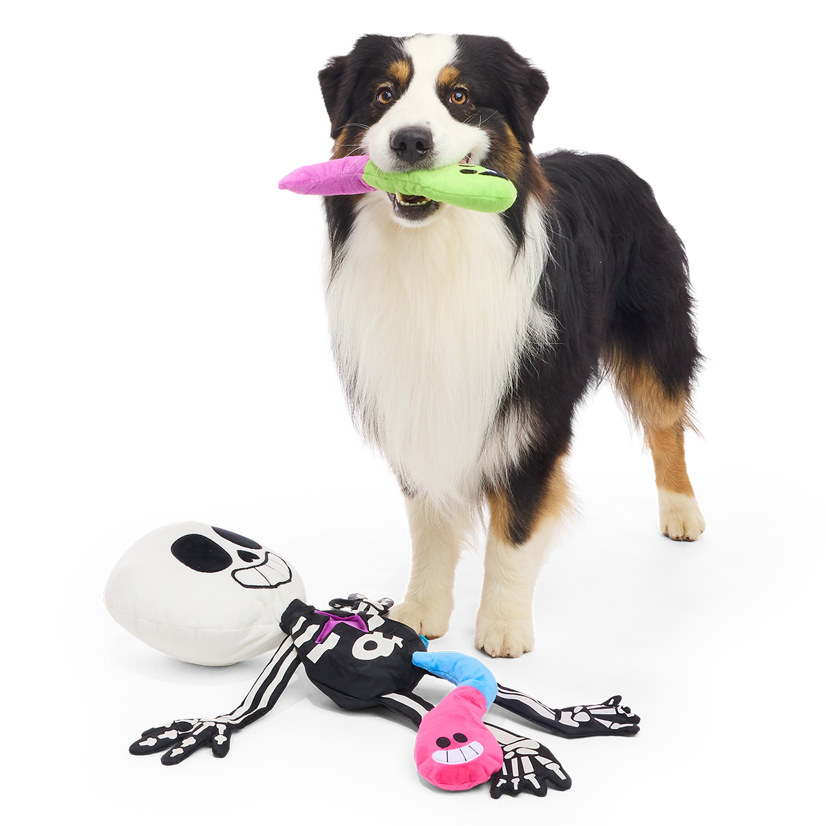 Skeleton Gnawtopsy Plush XXL Multi-Part + Tug + Enrichment Dog Toy