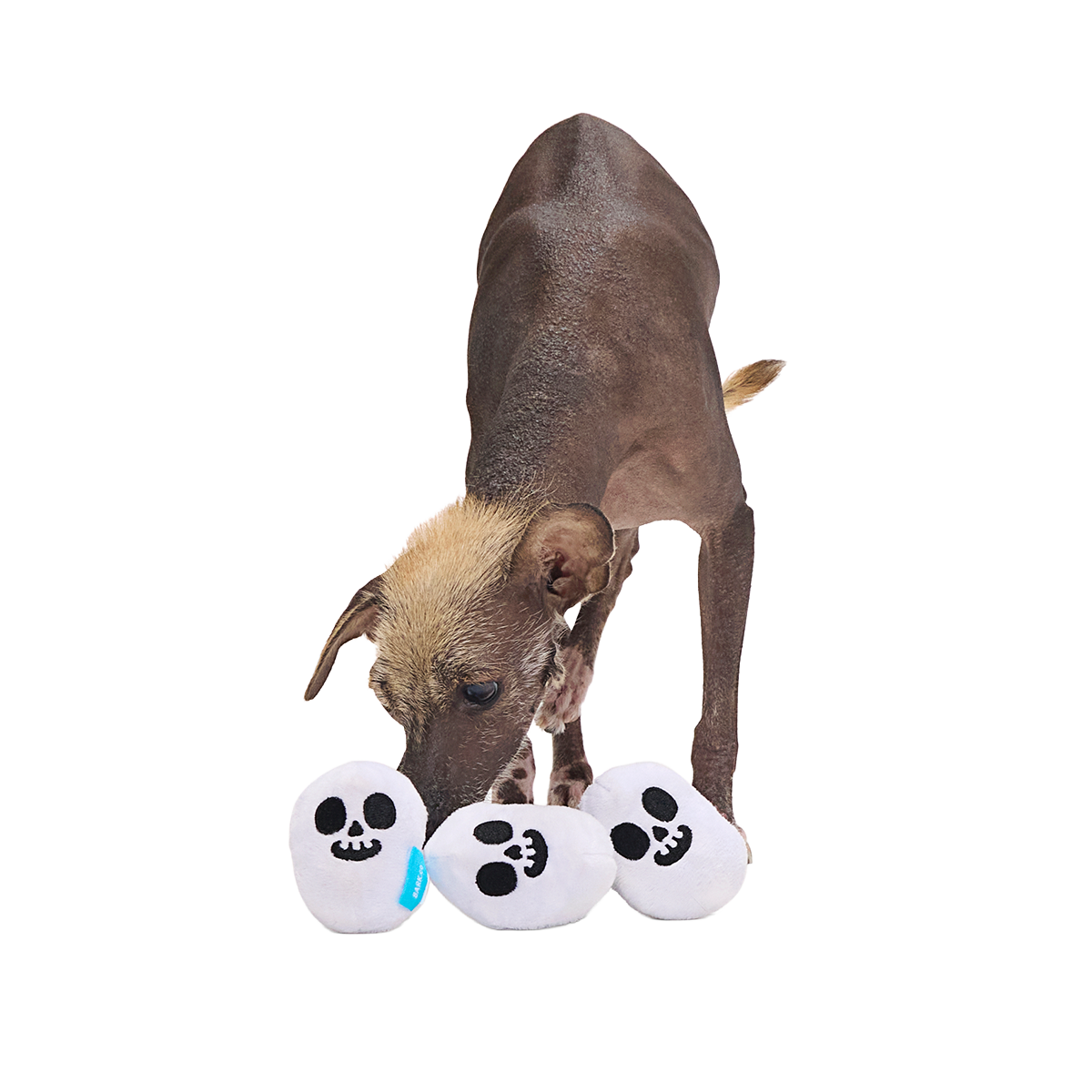 #Size_S