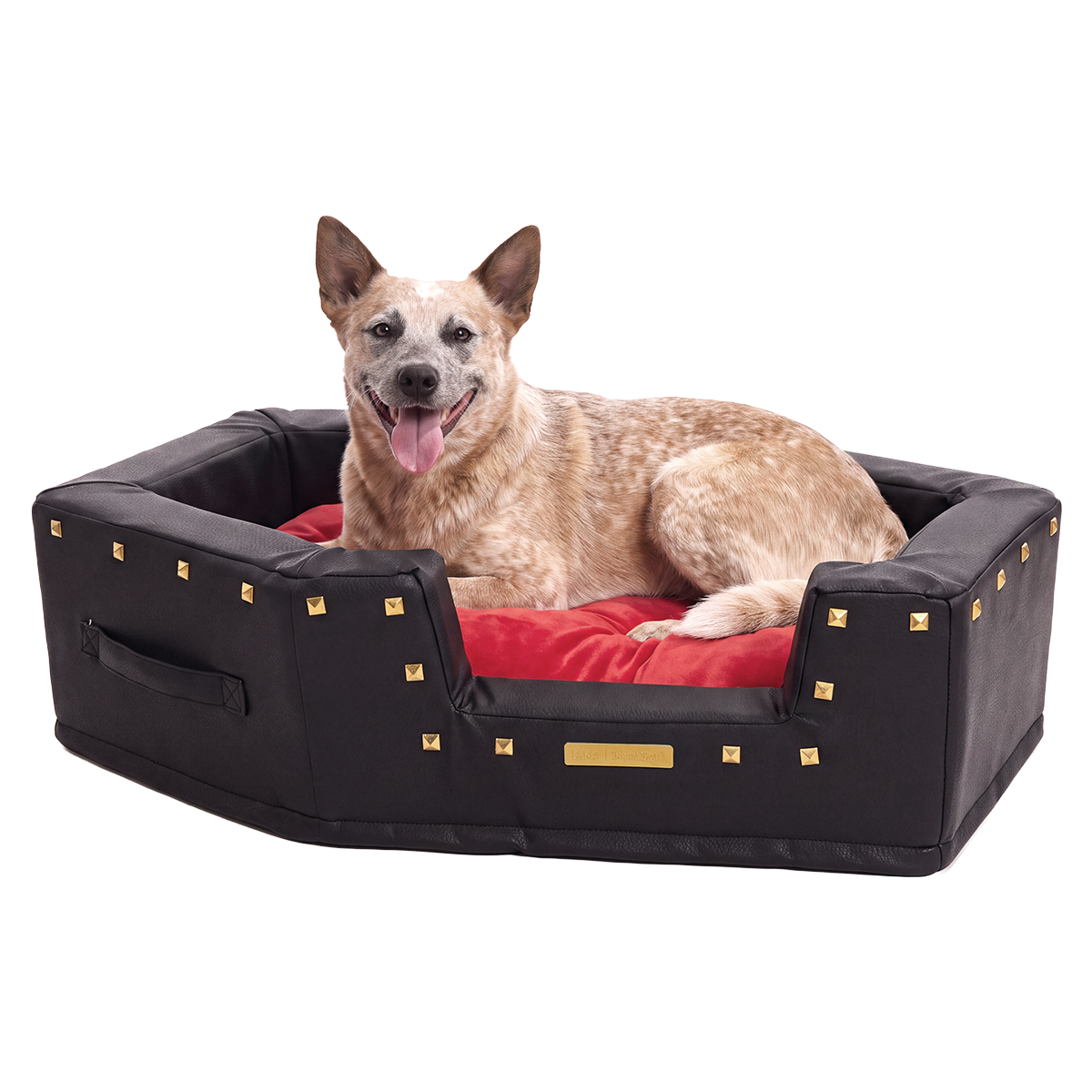 Sleep When You're Fed Dog Bed