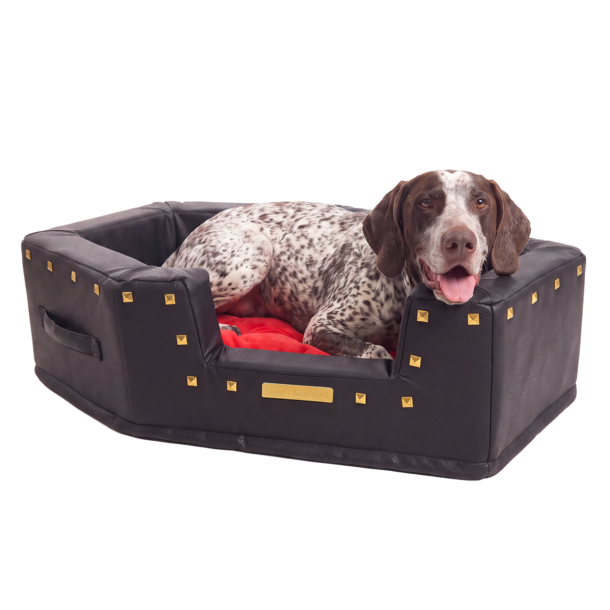 Sleep When You're Fed Dog Bed