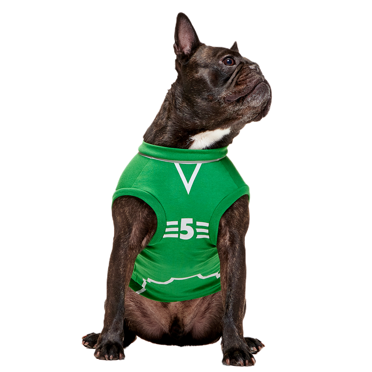 Quidditch™ Jersey#Style_Slytherin™