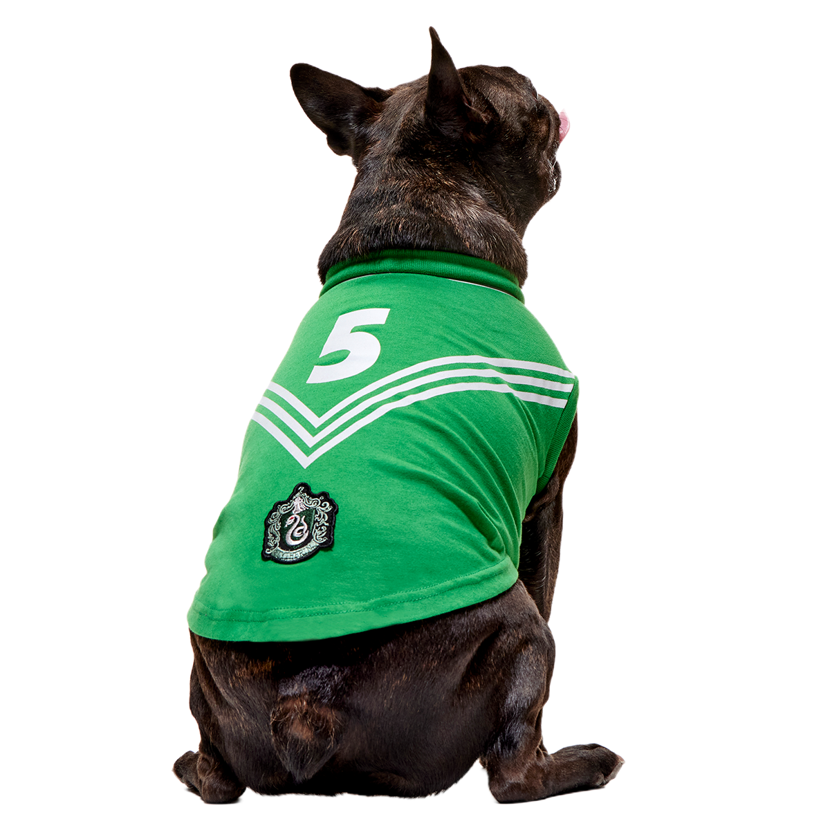Quidditch™ Jersey#Style_Slytherin™