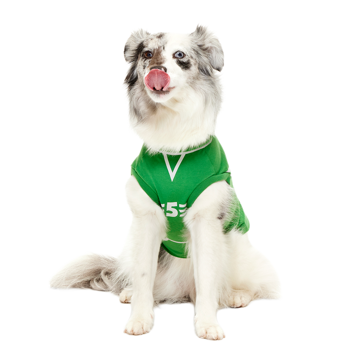 Quidditch™ Jersey#Style_Slytherin™