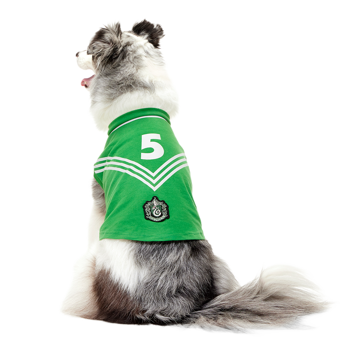 Quidditch™ Jersey#Style_Slytherin™