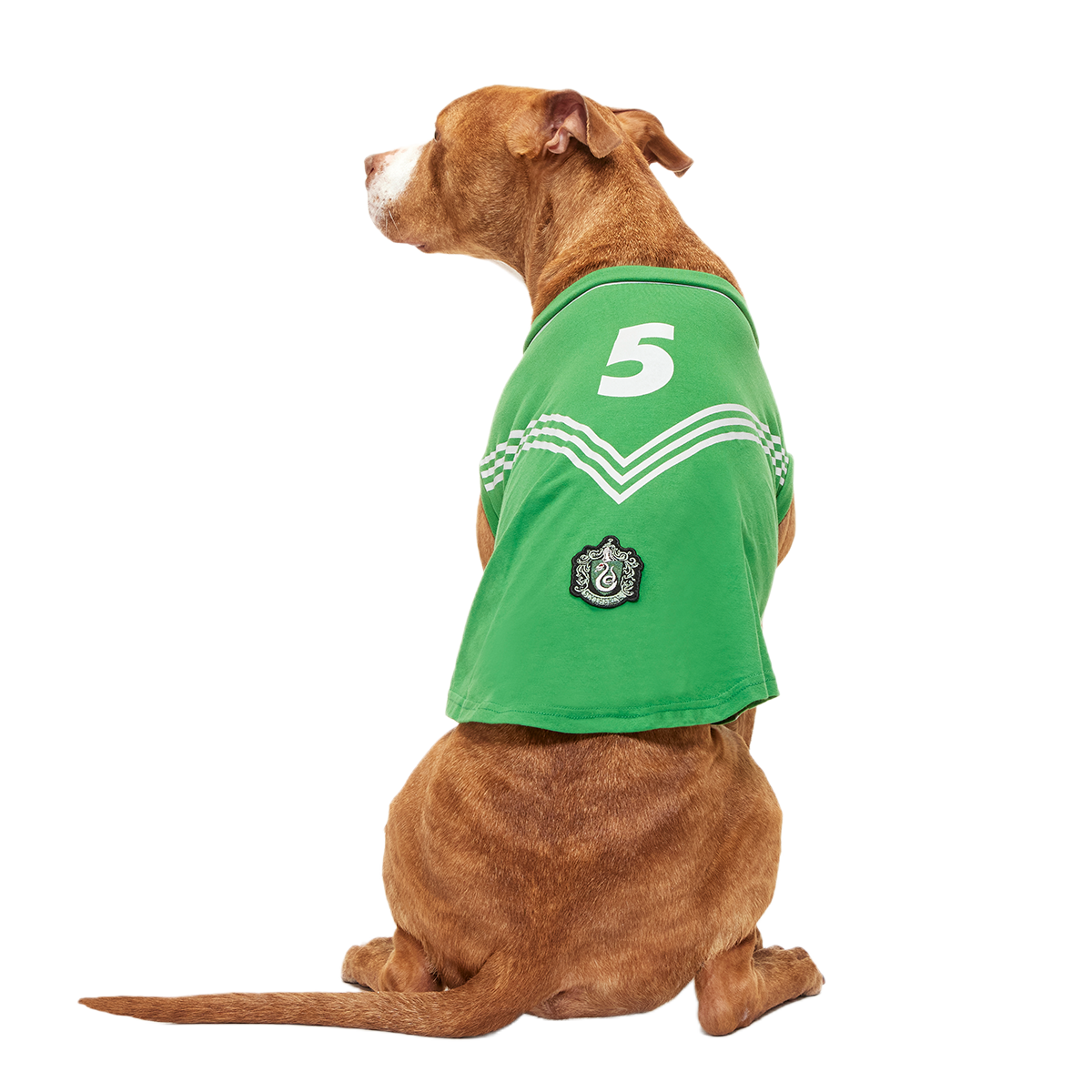 Quidditch™ Jersey#Style_Slytherin™