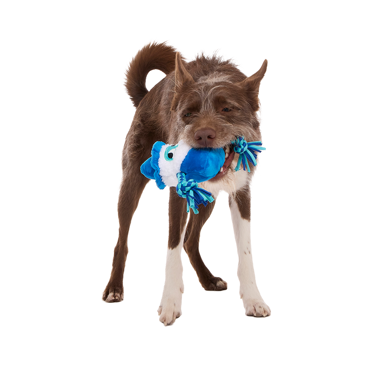 Smellcaster Merlin Plush Tug Dog Toy