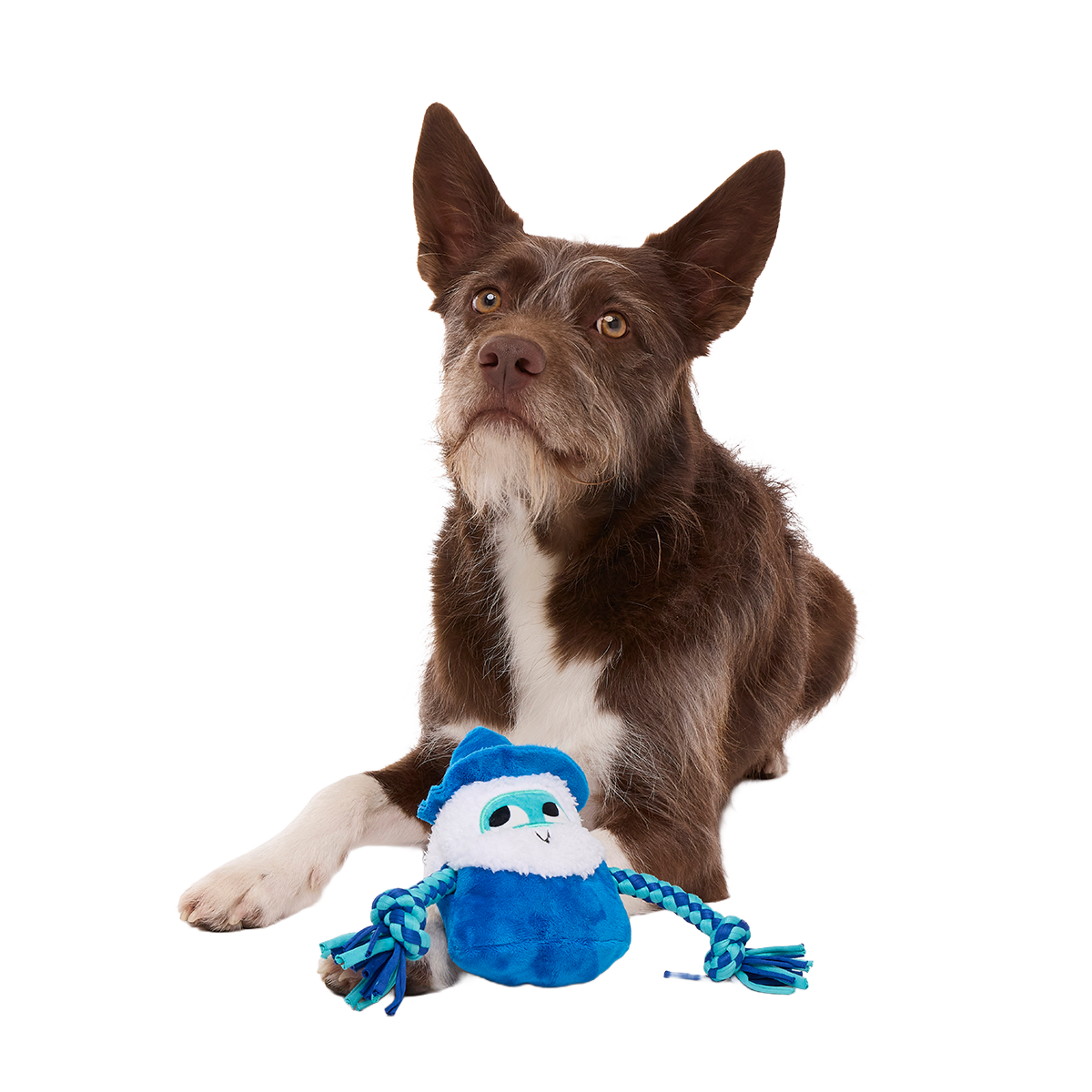 Smellcaster Merlin Plush Tug Dog Toy