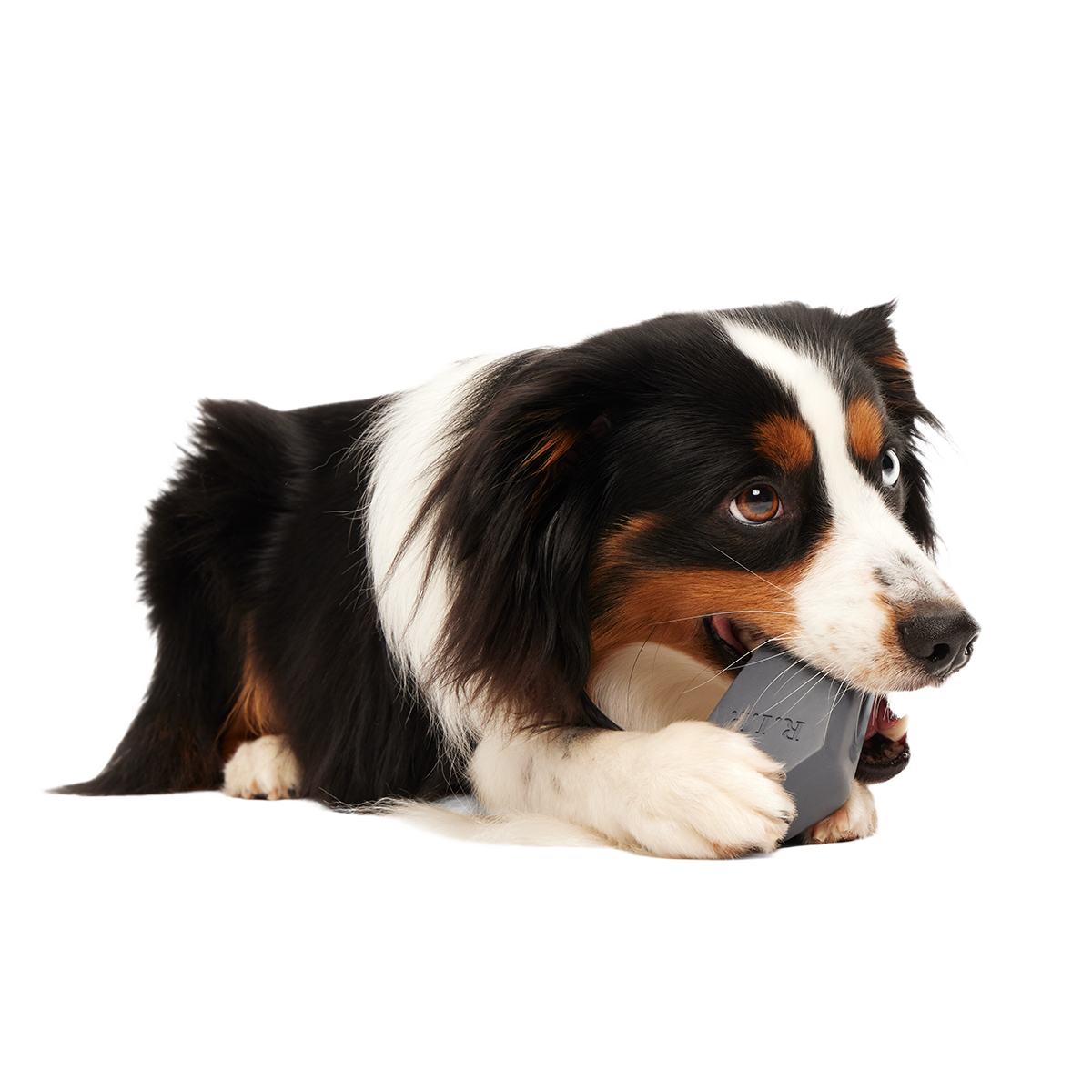 Snack Casket Super Chewer Durable Enrichment Dog Toy