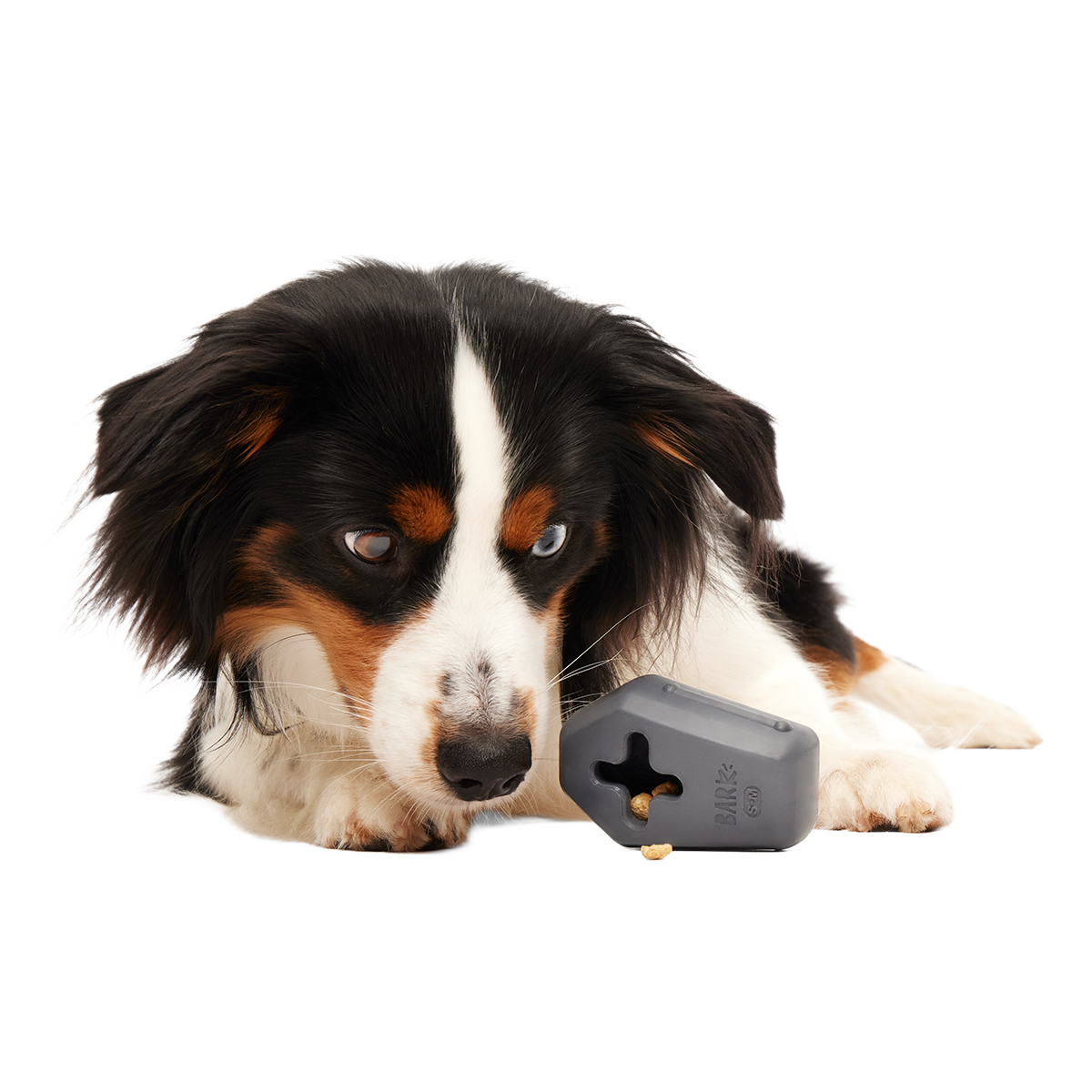 Snack Casket Super Chewer Durable Enrichment Dog Toy