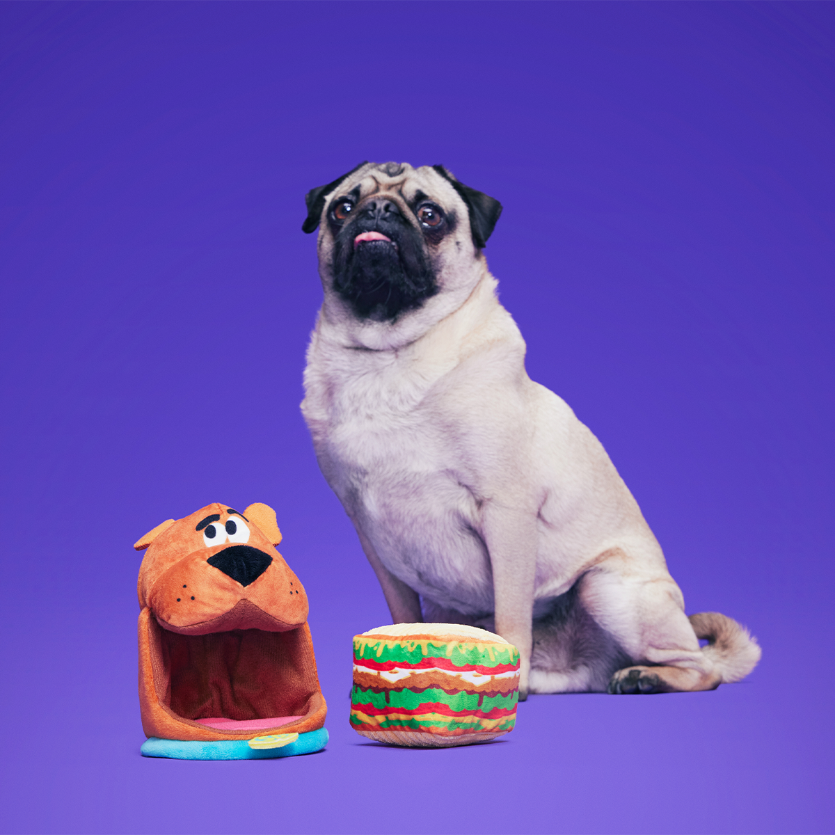 Snackin' Scooby™ Plush Multi-Part + Enrichment Dog Toy