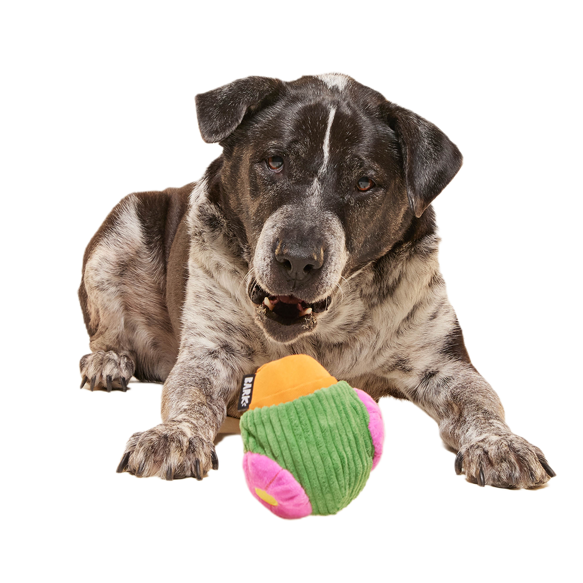 Snactus Super Chewer Durable 2-in-1 + Enrichment Dog Toy