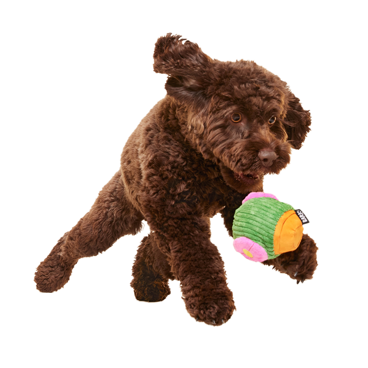 Snactus Super Chewer Durable 2-in-1 + Enrichment Dog Toy