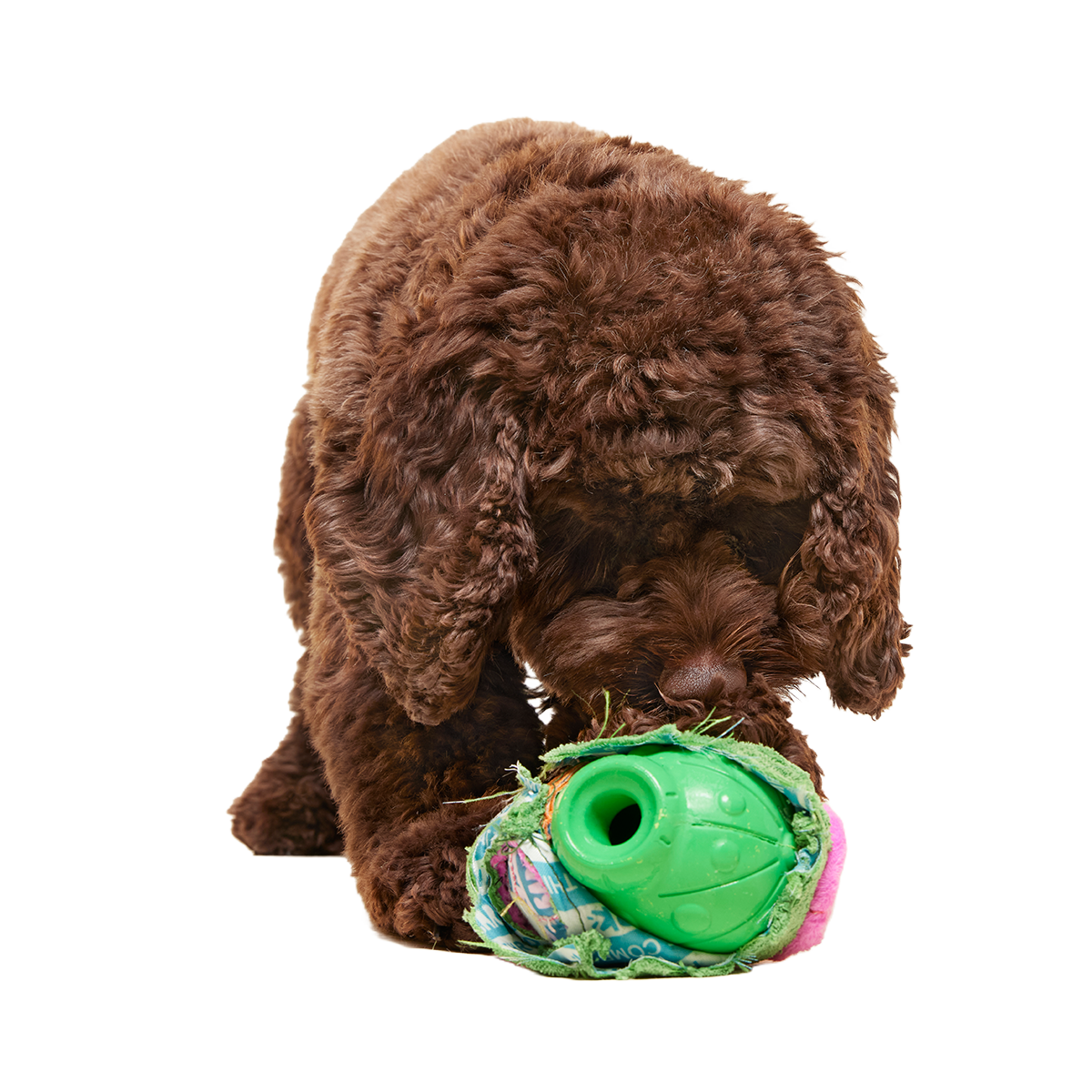 Snactus Super Chewer Durable 2-in-1 + Enrichment Dog Toy