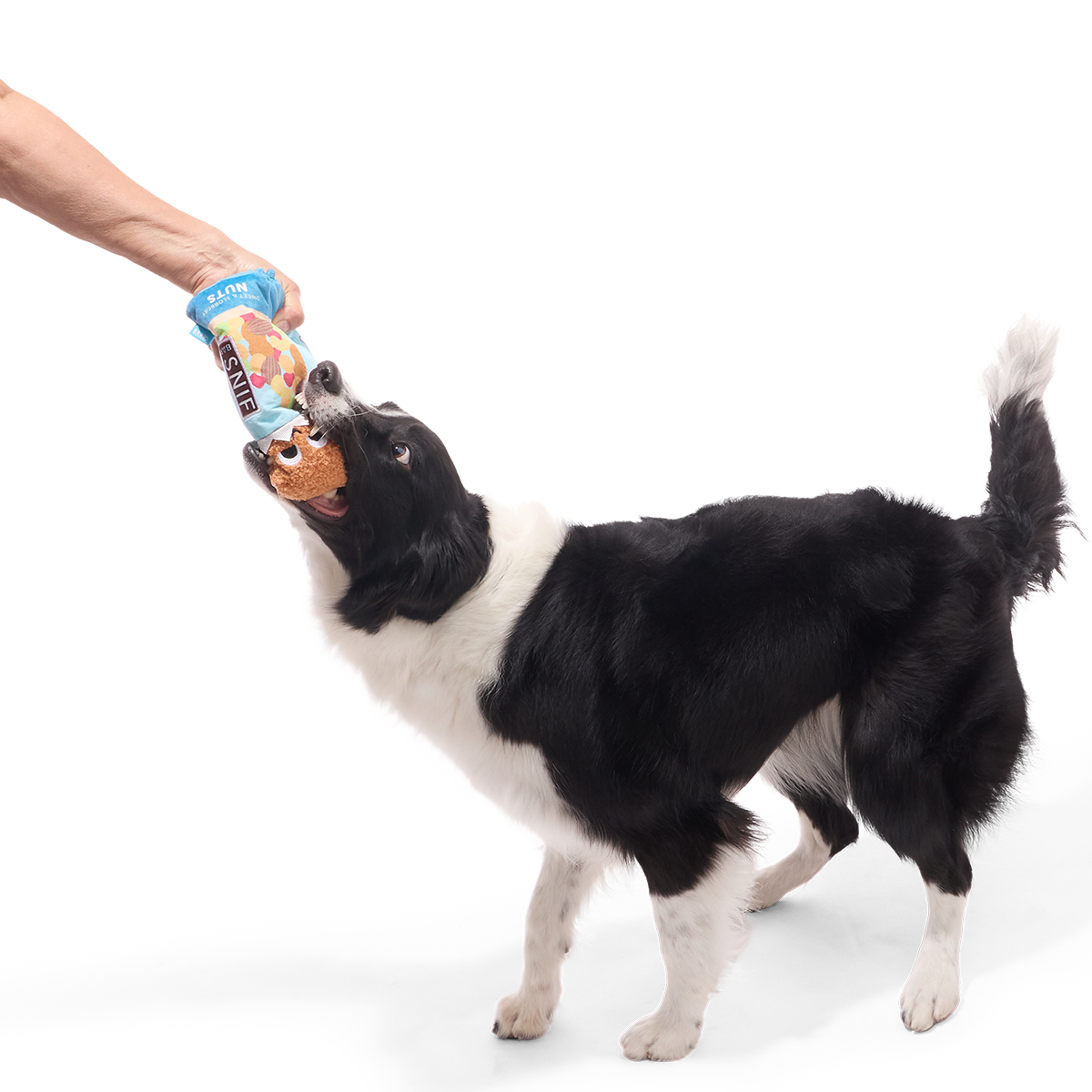 Sniff Bar Plush Tug Dog Toy