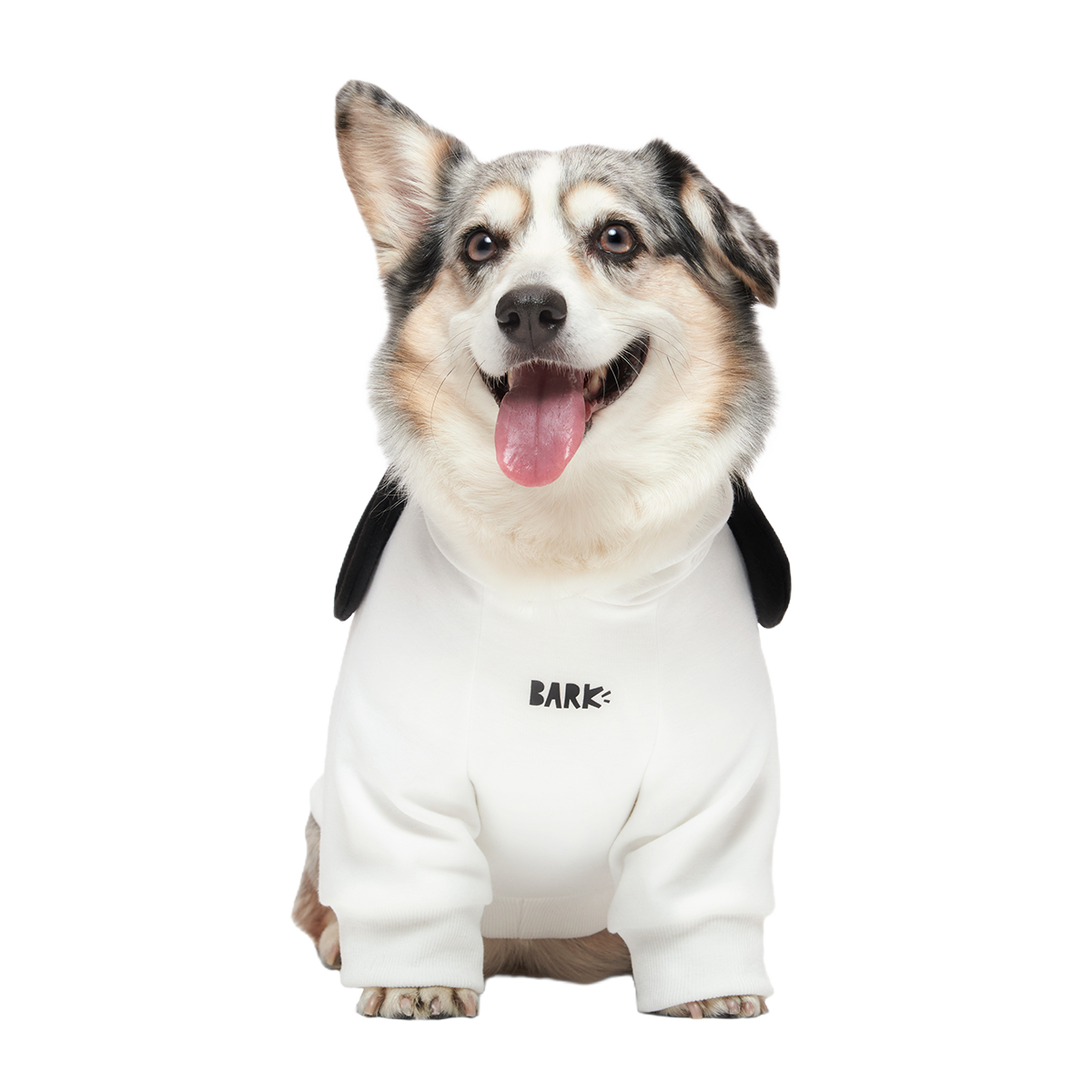 Snoopy Dog Hoodie