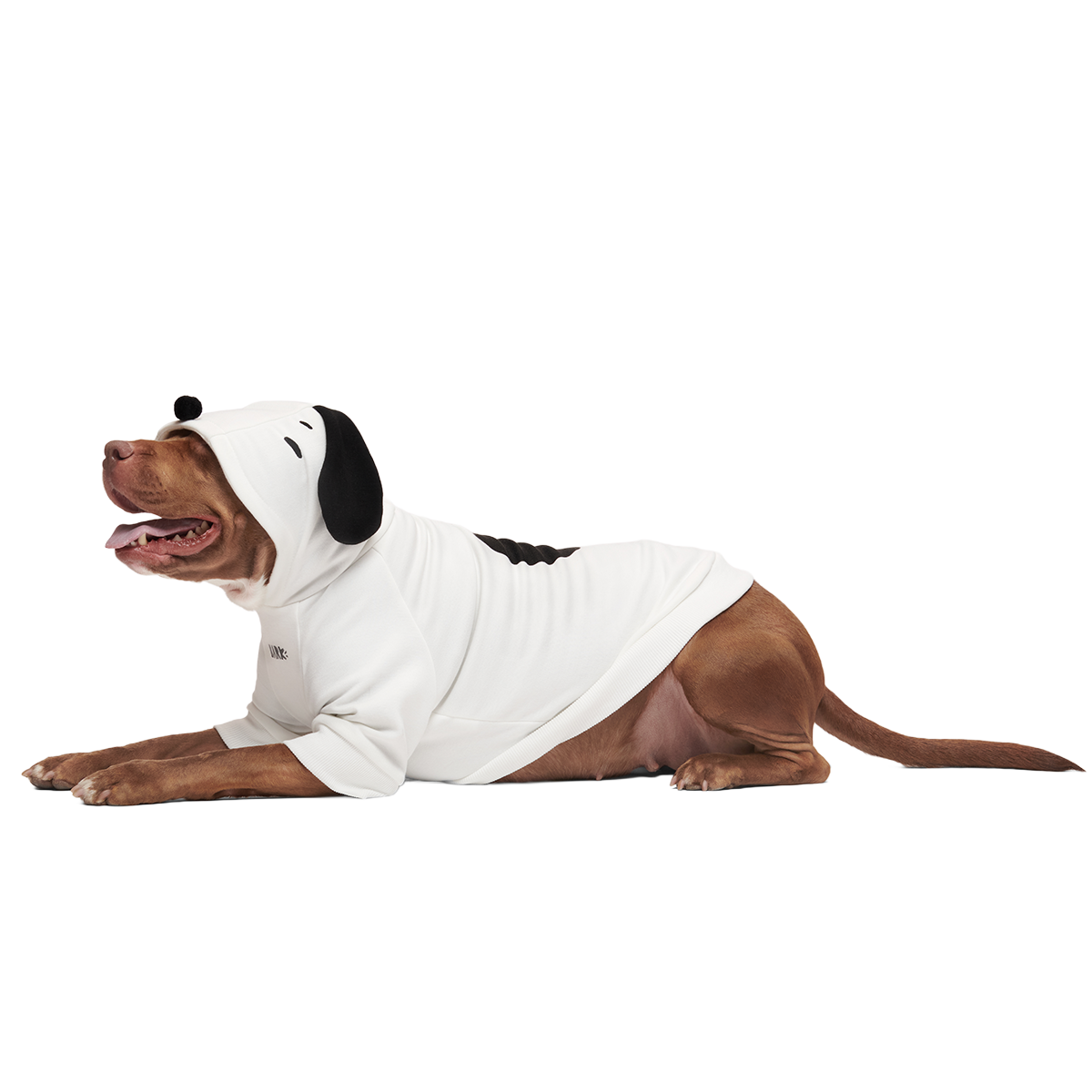 Snoopy Dog Hoodie