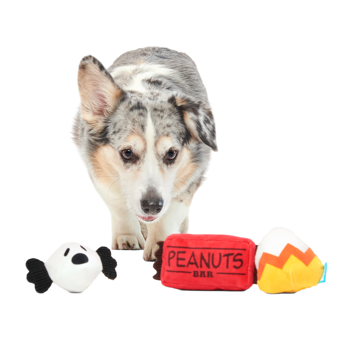 Snoopy Howl-O-Ween Candy Plush Multi-Part Dog Toy