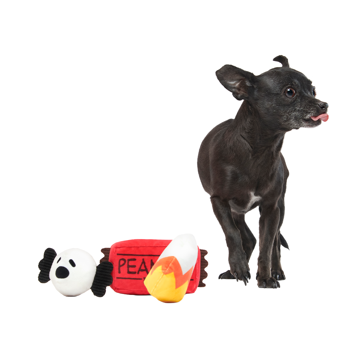 Snoopy Howl-O-Ween Candy Plush Multi-Part Dog Toy