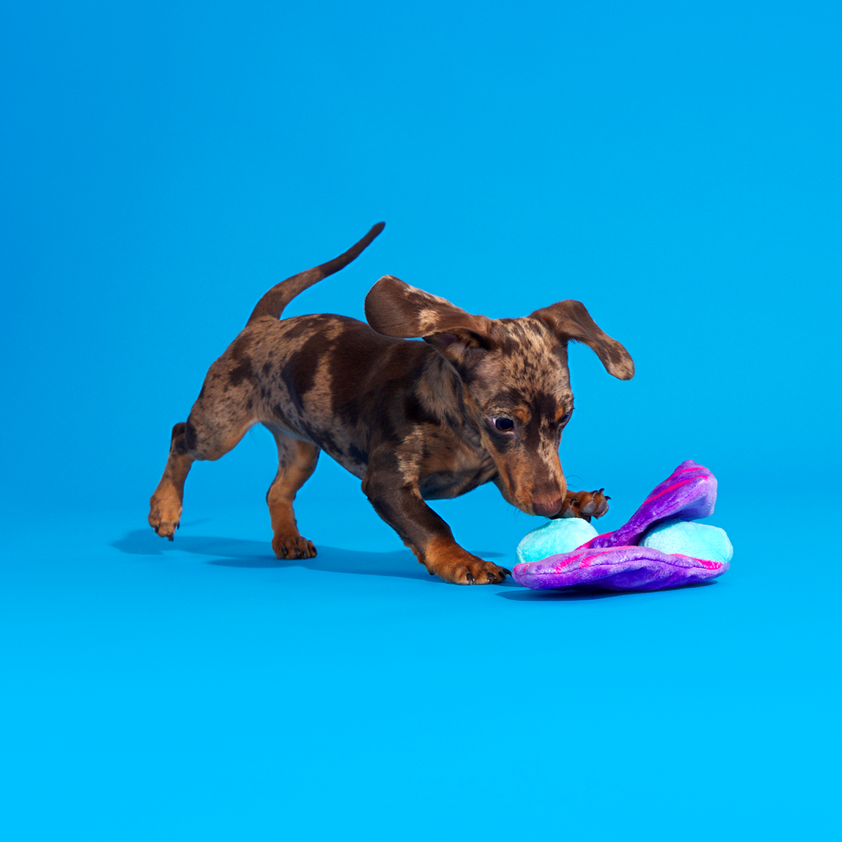 Snork N Bork Plush Multi-Part + Tug Dog Toy