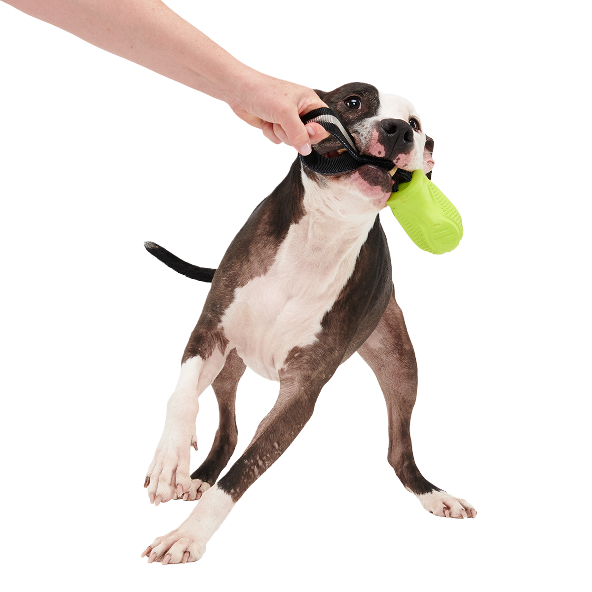 Snout Guard Super Chewer Durable Tug Dog Toy