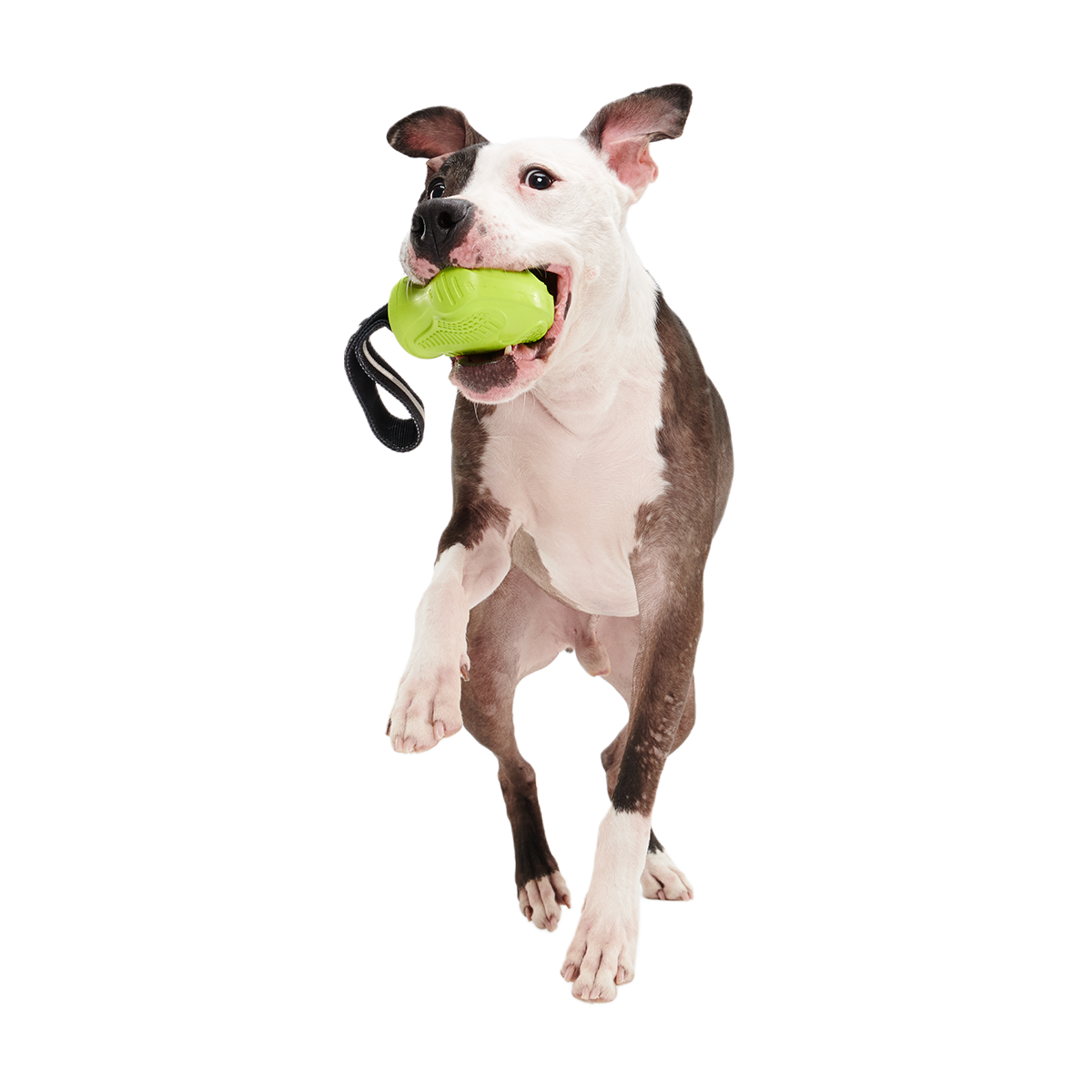 Snout Guard Super Chewer Durable Tug Dog Toy