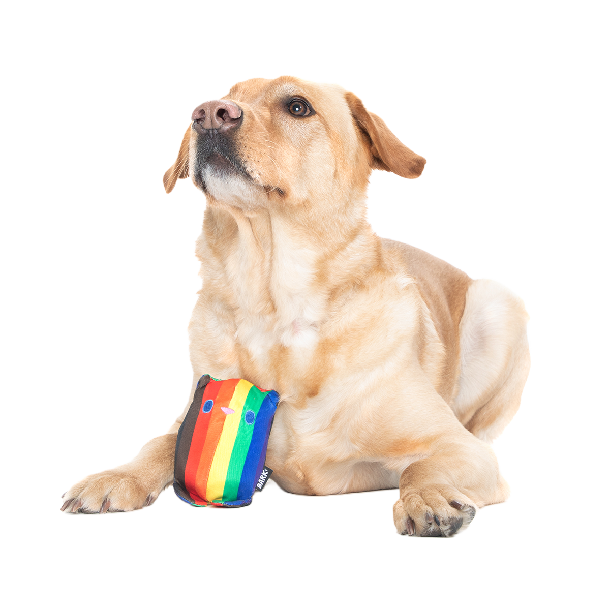 Some Bear Over The Rainbow Super Chewer Durable 2-in-1 Dog Toy