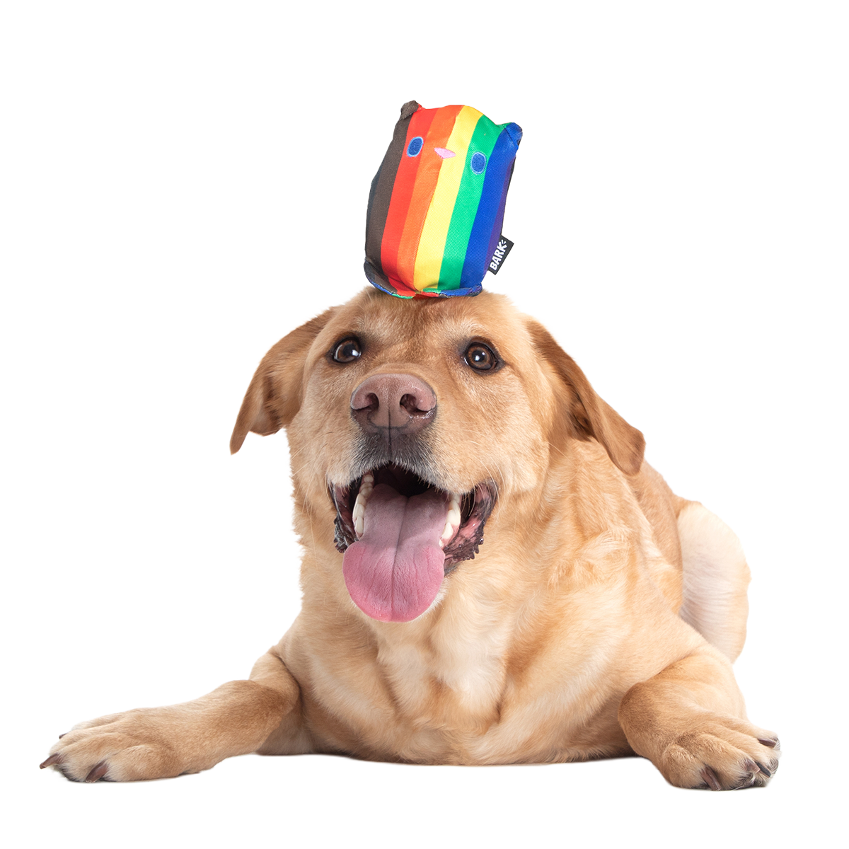 Some Bear Over The Rainbow Super Chewer Durable 2-in-1 Dog Toy