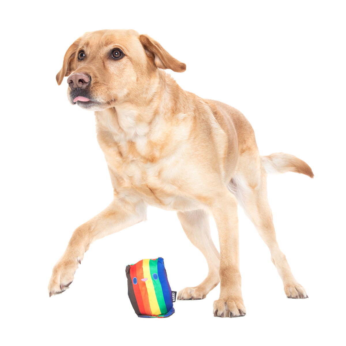 Some Bear Over The Rainbow Super Chewer Durable 2-in-1 Dog Toy