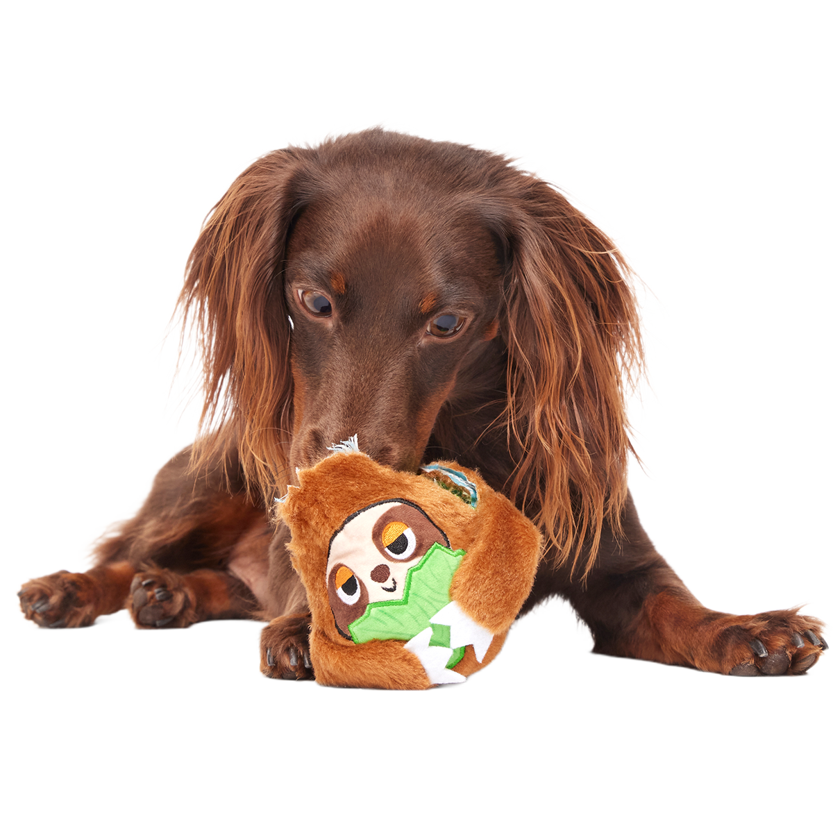 Sonny the Sloth Super Chewer Durable 2-in-1 + Fetch Dog Toy
