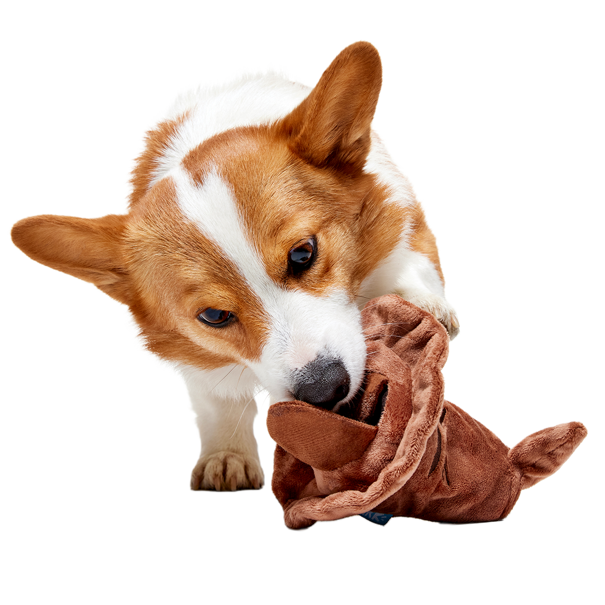 The Sorting Hat™ Plush 2-in-1 + Fetch Dog Toy