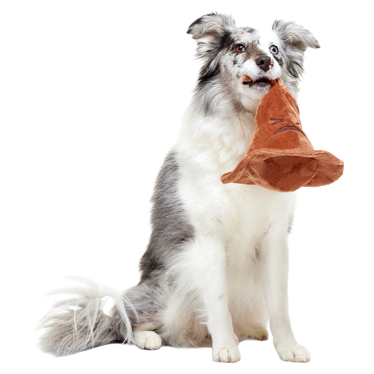 The Sorting Hat™ Plush 2-in-1 + Fetch Dog Toy