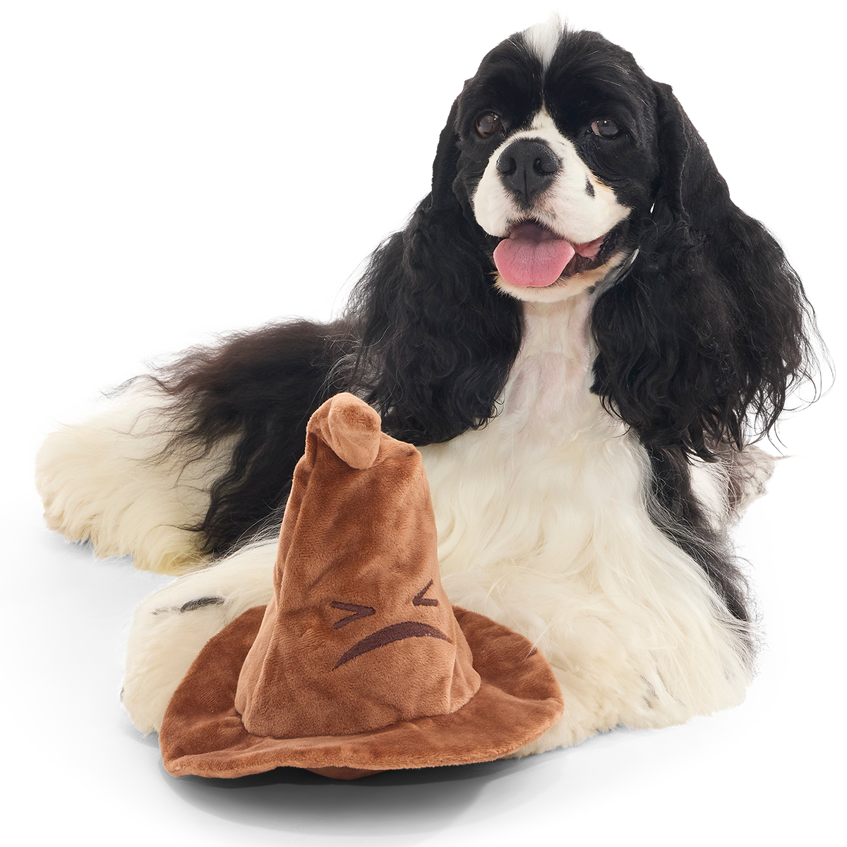 The Sorting Hat™ Plush 2-in-1 + Fetch Dog Toy