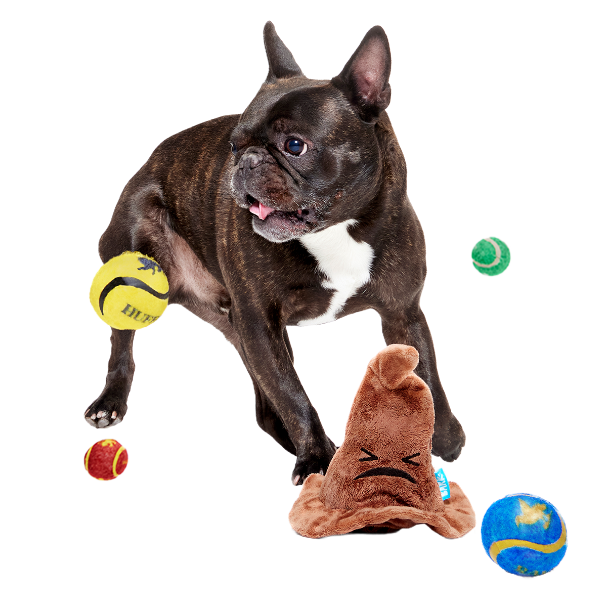 The Sorting Hat™ Plush 2-in-1 + Fetch Dog Toy
