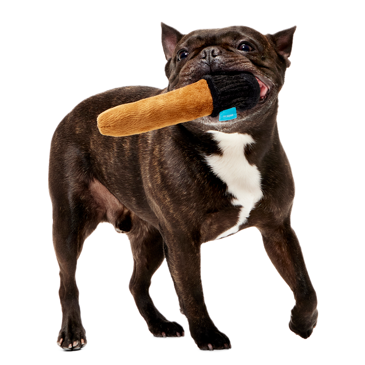 Spellbinding Wand™ Plush Tug Dog Toy