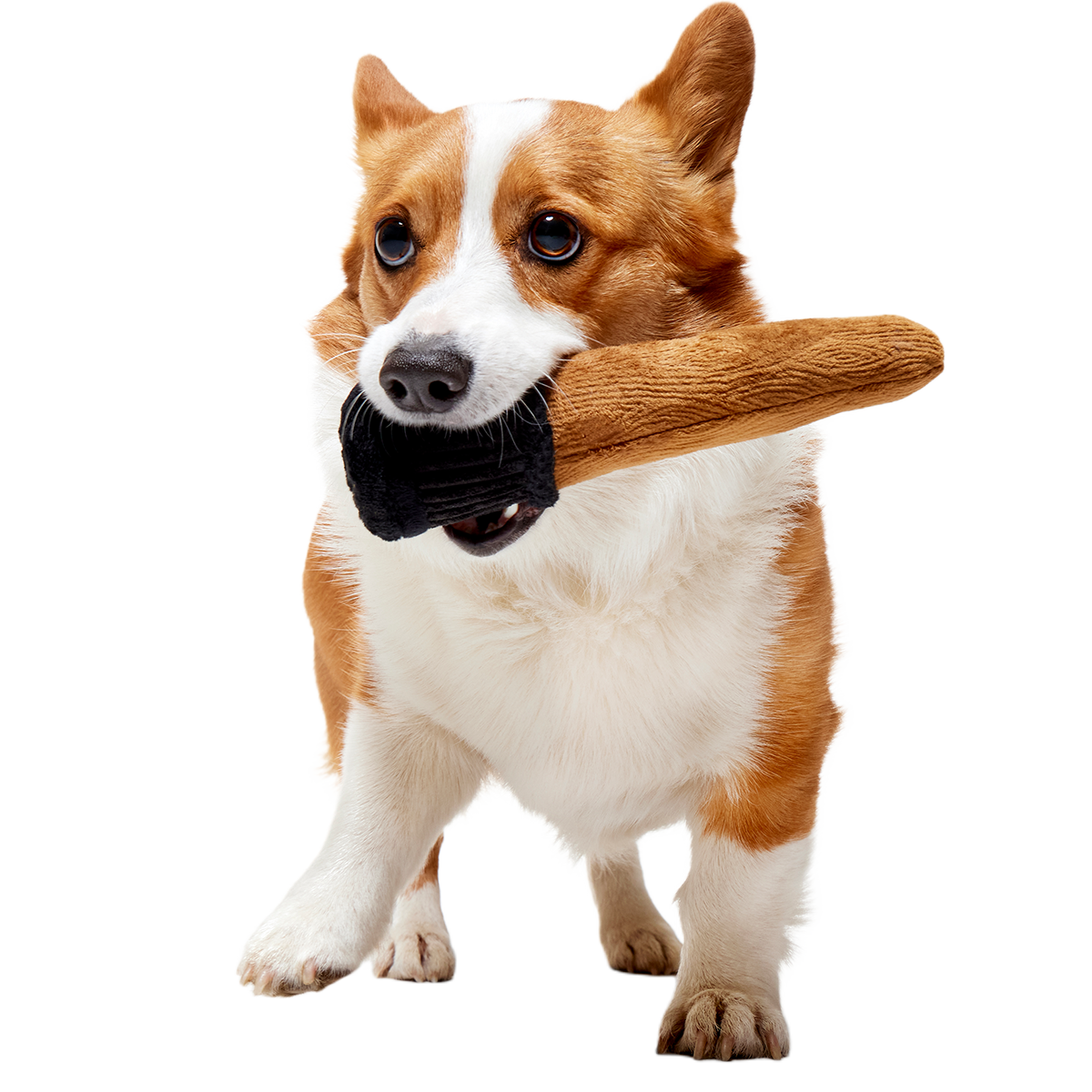 Spellbinding Wand™ Plush Tug Dog Toy